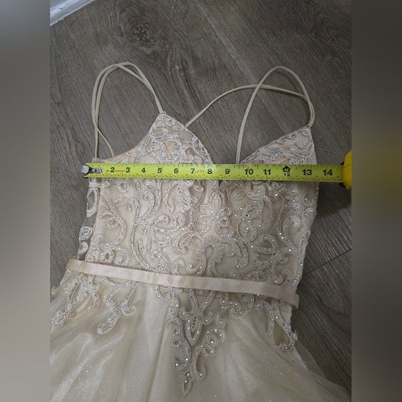 Chic Beige Embellished Gown - Picture 7 of 11